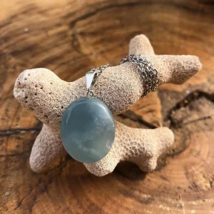Blue-green oval gemstone pendant on a silver chain, draped over a textured coral piece.
